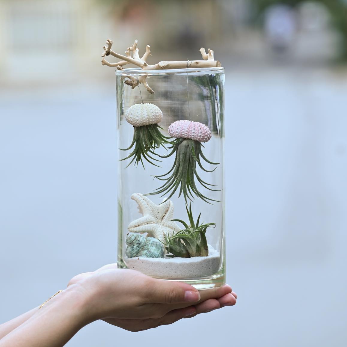 Ocean Jelly Terrarium – A Whisper of the Sea