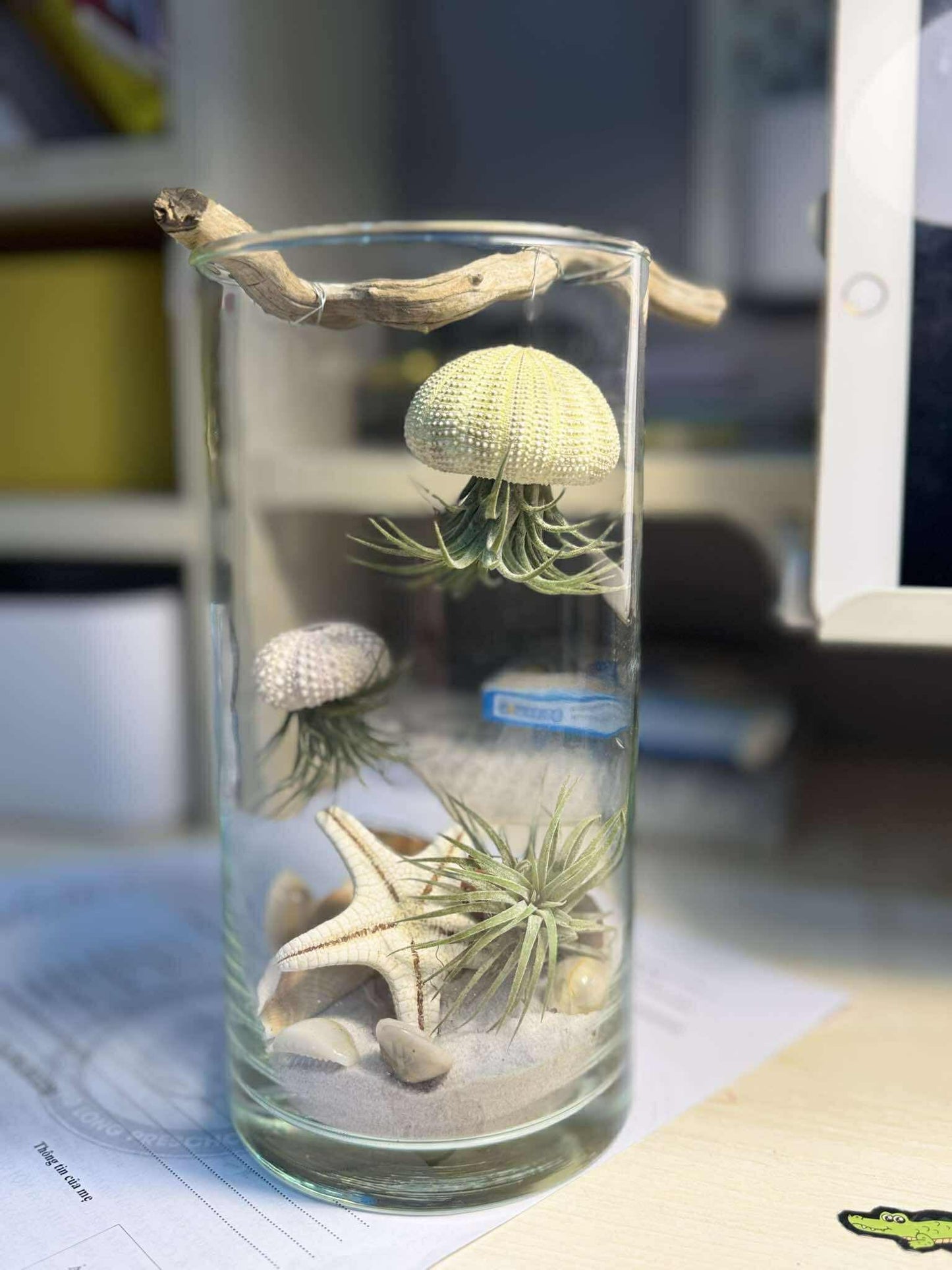Ocean Jelly Terrarium – A Whisper of the Sea