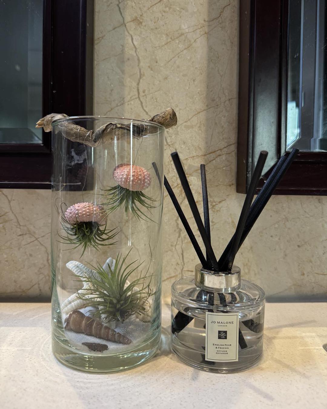Ocean Jelly Terrarium – A Whisper of the Sea