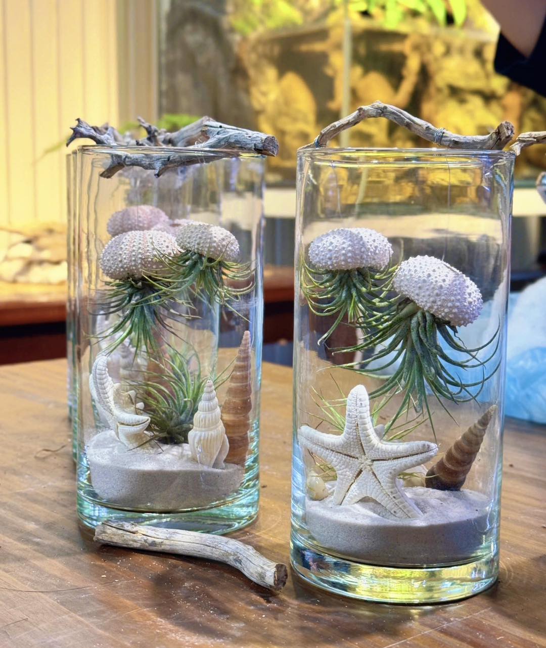 Ocean Jelly Terrarium – A Whisper of the Sea
