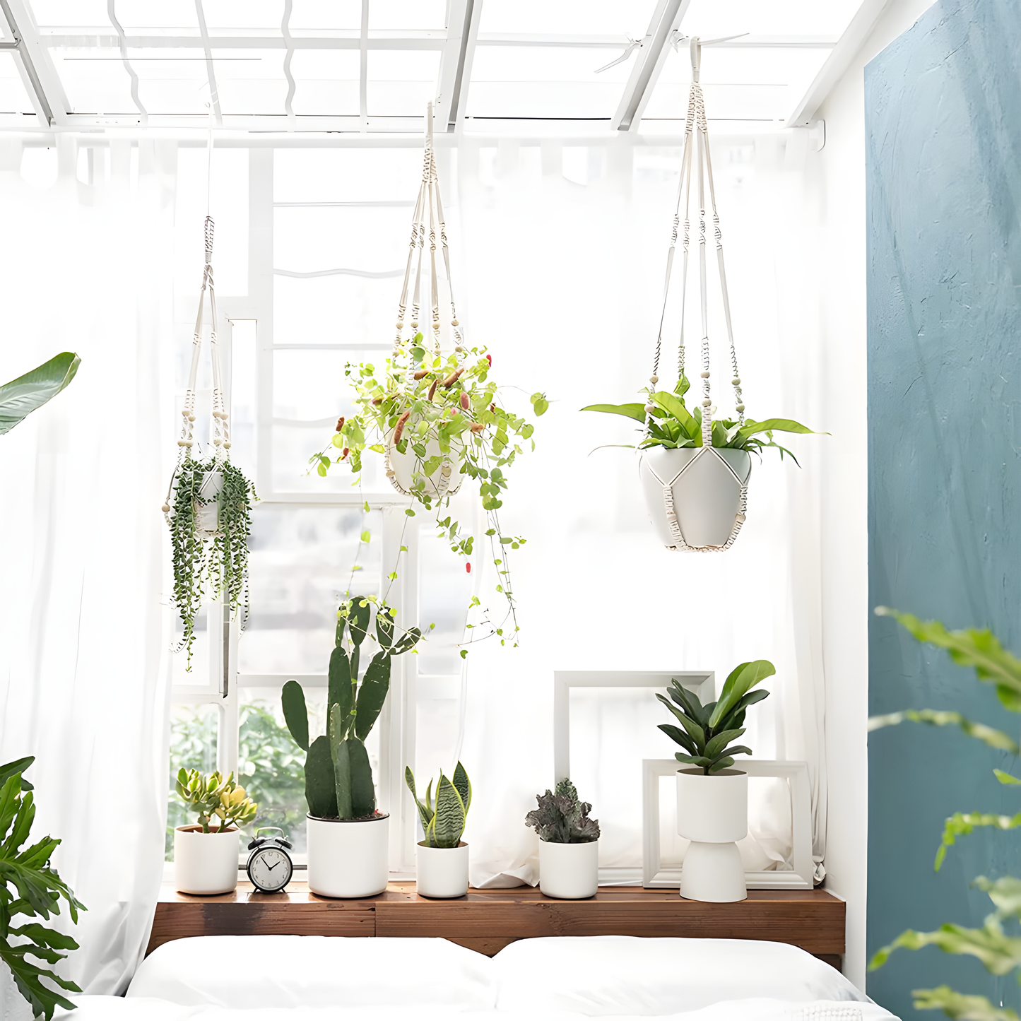 Handwoven Cotton Macrame Plant Hanger – Natural Elegance in Every Knot