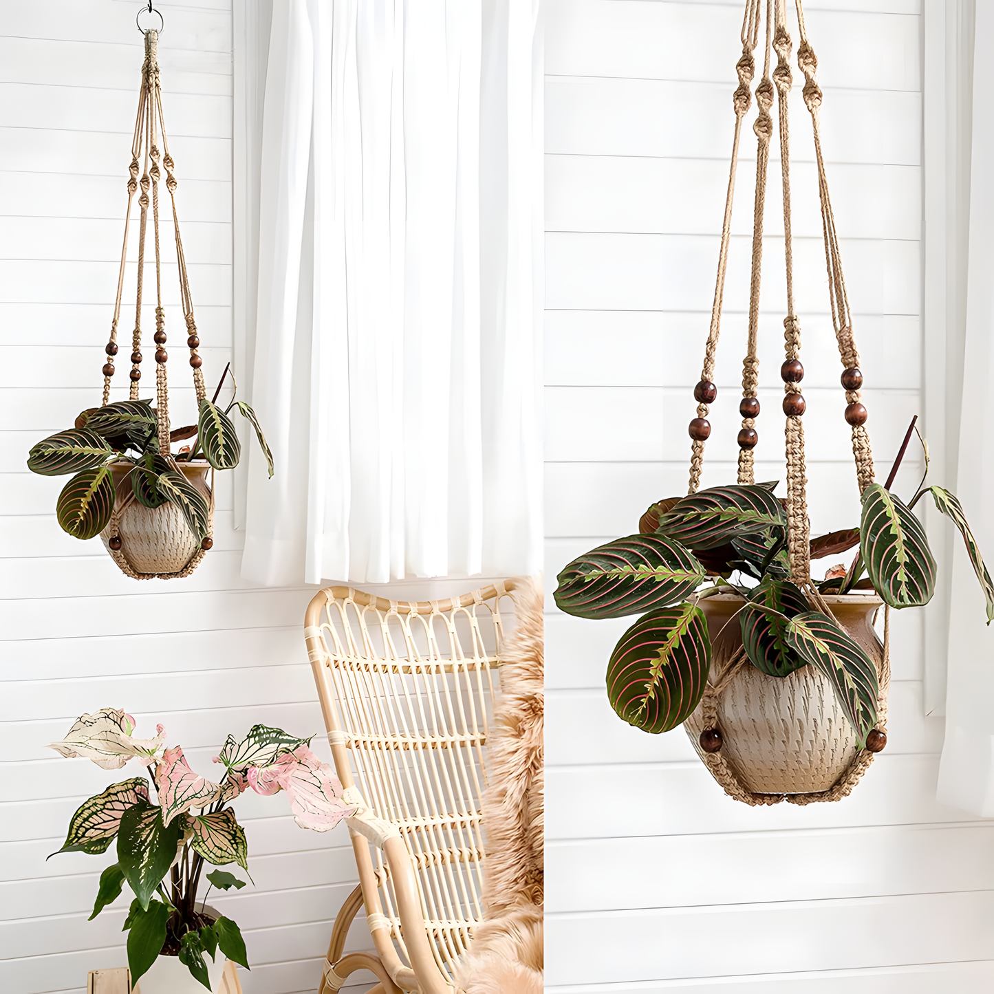 Handwoven Cotton Macrame Plant Hanger – Natural Elegance in Every Knot