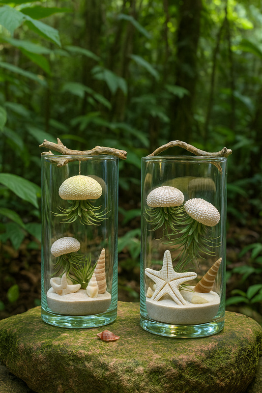 Ocean Jelly Terrarium – A Whisper of the Sea