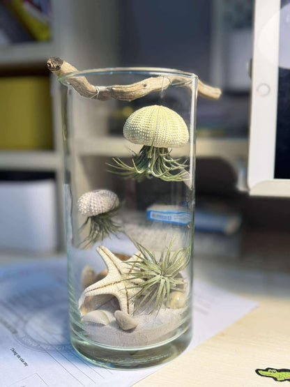Ocean Jelly Terrarium – A Whisper of the Sea