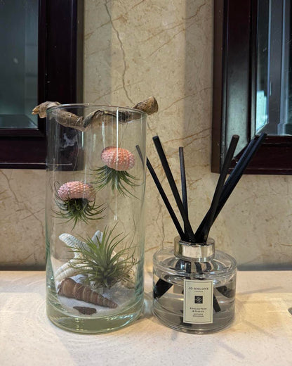 Ocean Jelly Terrarium – A Whisper of the Sea
