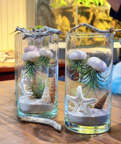 Ocean Jelly Terrarium – A Whisper of the Sea