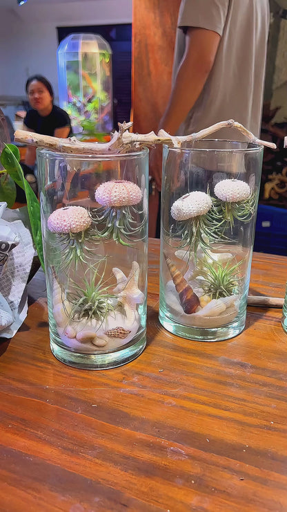 Ocean Jelly Terrarium – A Whisper of the Sea