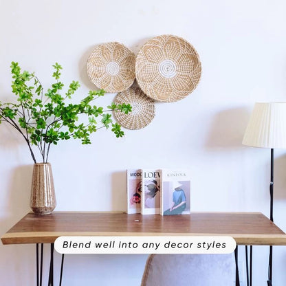 Handwoven Boho Wall Plate Set (Natural Seagrass Wall Décor, 7 Pieces)